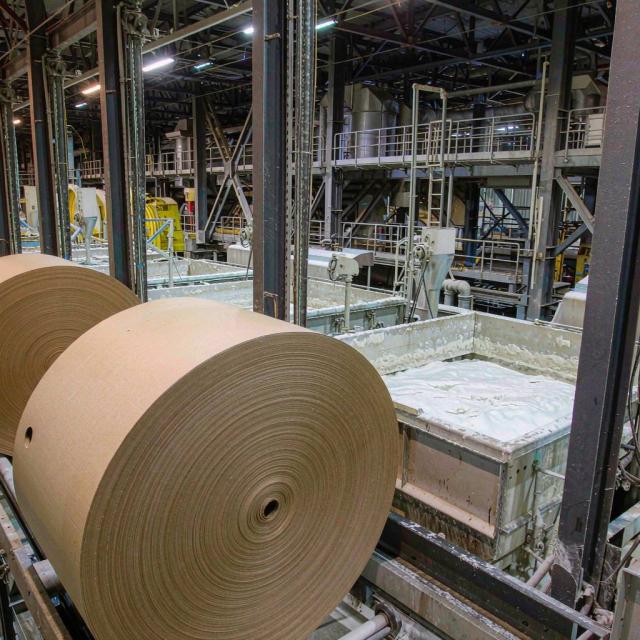 Wire-banded OCC, office paper and newsprint bales stacked in a recycling warehouse